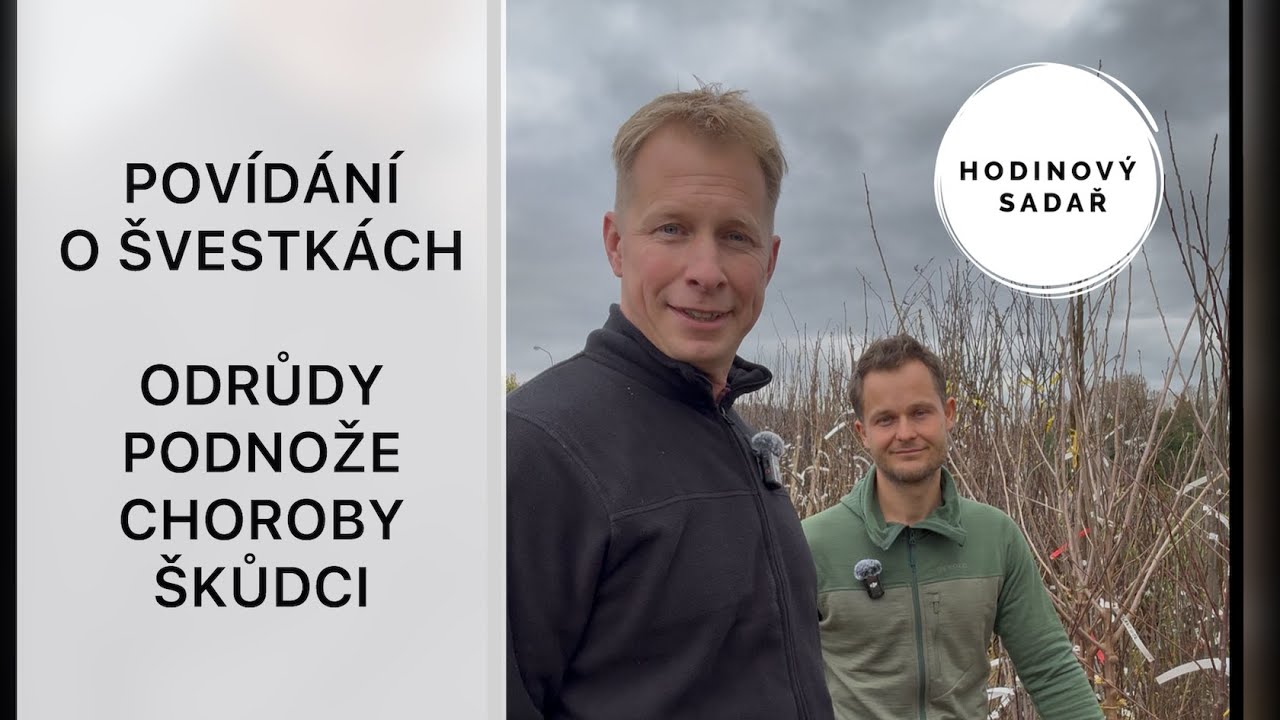 🌳Záznam švestkového webináře🌳Host: Ľudovít Vašš, krajinář, školkař🌳
