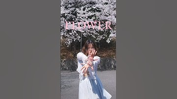 지수 - ‘꽃(FLOWER)’ 쇼트 댄스 커버