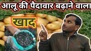 आलू की पैदावार बढ़ाने का खाद| potato high production|alu ki kheti kaise kare|alu ka utpadan badhaye|