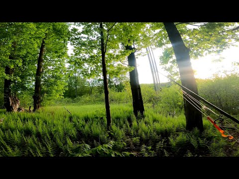 Dusk Chill Time – Bank Fishing for LARGEMOUTH BASS – High Weed Off the Rock
