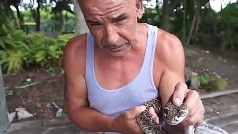 Venom Extraction by Albert Killian