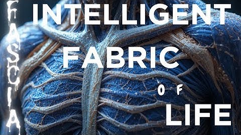 Fascia: The Body’s Hidden Fabric of Health