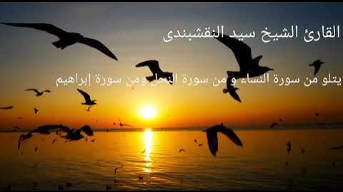 تلاوت جميلة بصوت قوي القارئ الشيخ سيد النقشبندي يتلو من سورة النساء و من سورة النحل و سورة إبراهيم