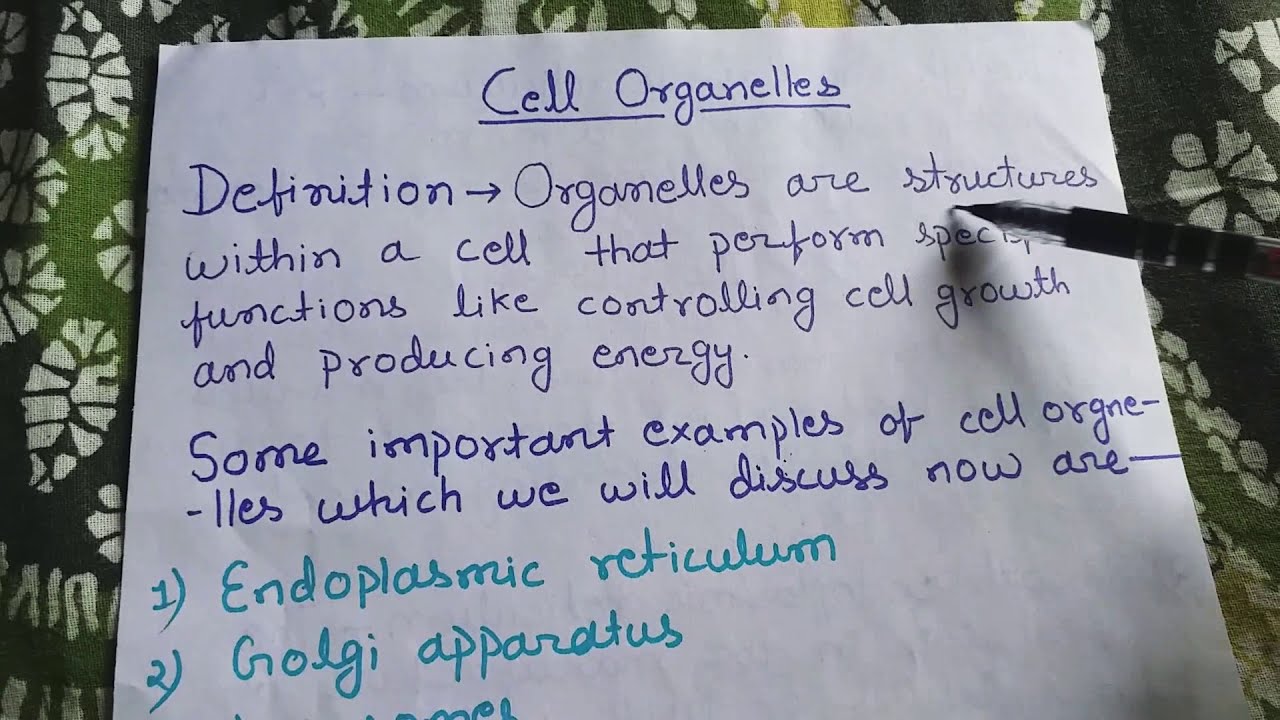 Cell organelle : endoplasmic reticulum - YouTube