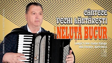 NELUTA BUCUR . Cantece vechi lautaresti [1] (oficial audio)