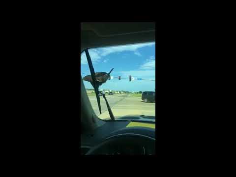 Stubborn Crow Refuses to Let Go of Windshield Wipers in Iowa
