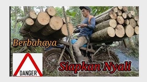 Skil Ojek palang kayu sengon super berat melewati jalur tanjakan berbahaya