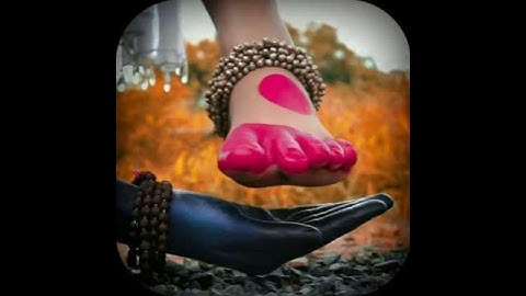 lord 🕉️shiva & parvati Dp image | shiv parvati cute cartoon dp image | Mahadev whatsapp dp image ||