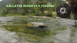 Bows after the Rain  Gallatin River Fly Fishing  Montana August 2020