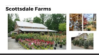 Scottsdale Farms | The Cole Team