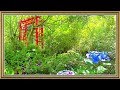 Прекрасный сад на 3 гектарах!Частные владения.Ирландия.Petrovska Garden