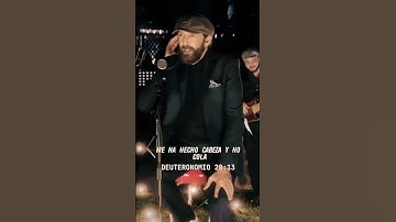 Thumbnail of Las Avispas / Juan Luis Guerra / subtítulos