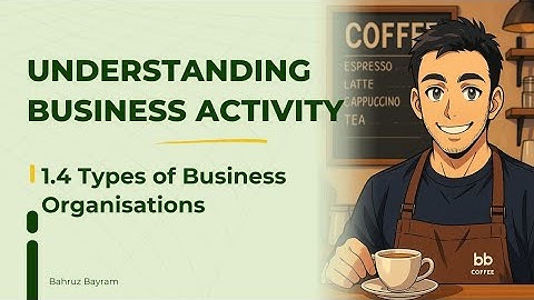 IGCSE Business Studies Ch 1.4 | Types of Business Organisation | Sole Trader, Partnership & More