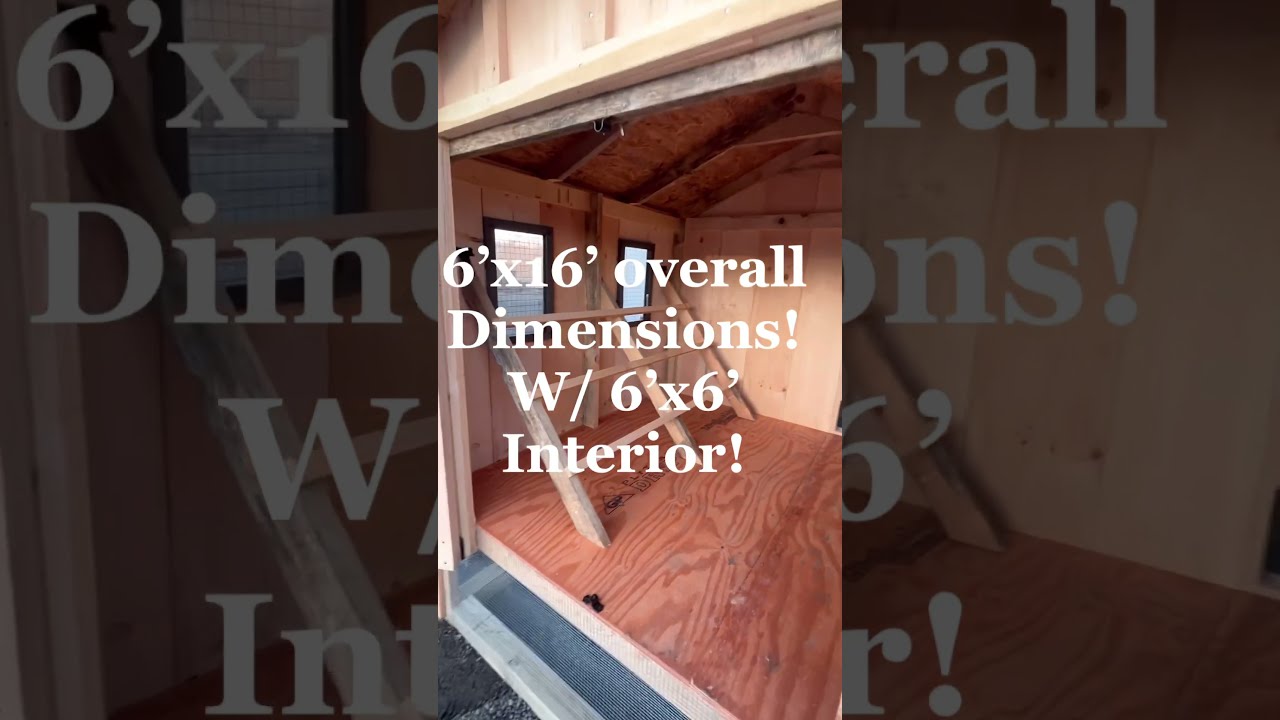 Build The Perfect Chicken Coop With This Easy Design 