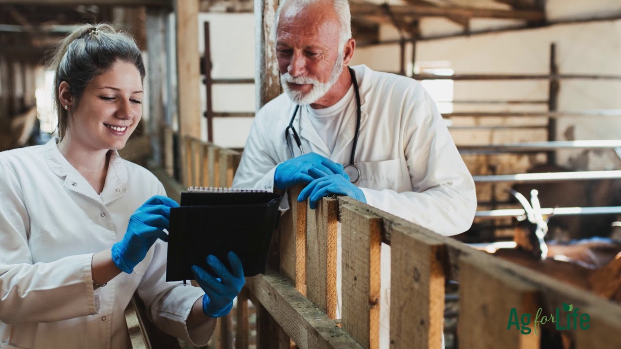 Looking After Our Food's Food