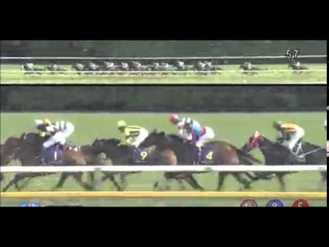 競馬レース結果15 第76回 優駿牝馬 オークス ｇ ミッキークィーン Yushun Himba Japanese Oaks G1 Tokyo Racecourse Youtube