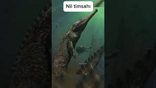 Göründüğünden Daha Büyük Olan Şeyler Part 6