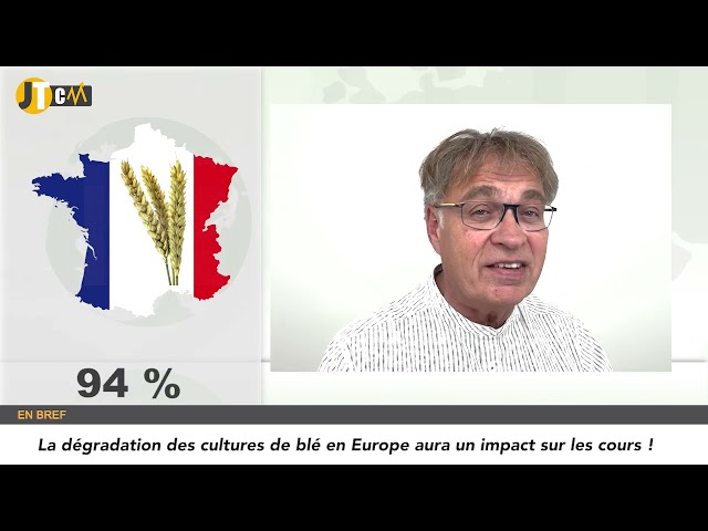 JTCM - Le blé européen dans la tourmente climatique - 30/04/2024