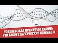 Нобелевская премия по химии: что такое генетические ножницы
