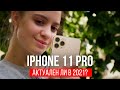 iPhone 11 Pro в 2021 году. Актуален ли? Самый забавный обзор!