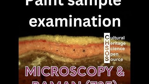 Paint sampling for cross-section examination