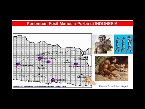Mengenal Jenis Manusia Purba Indonesia