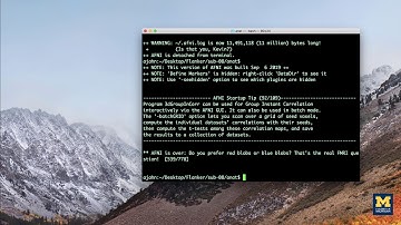 AFNI Tutorial #3: Looking at the Data