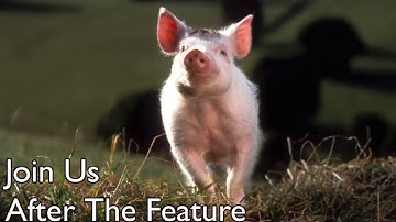 Join Us After the Feature (Babe 1995 Variant)/ Feature Presentation Logo