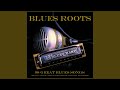 Miniature de la vidéo de la chanson Bluebird Blues #2