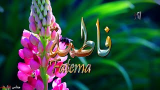 ما معنى اسم #فاطمة وبعض من صفات حاملة هذا الاسم على قناة معاني الاسماء #fatema