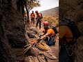 High Angle Rescue 🐐⛰️ | Incredible Animal Rescue Operation #firefighters #firesafety #rescueteam