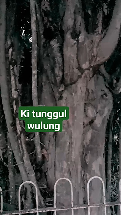 kesorean di tempat keramat #hororterbaru2023 #keramat #kuburan #mistis