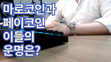 마로코인과 페이코인 이들의 운명은?