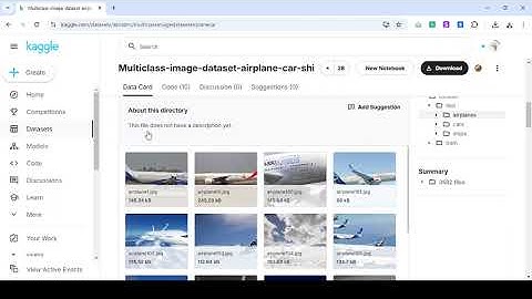 Introduction au Projet de Classification d