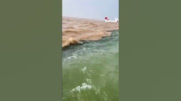 سبحان الله 🥹سوره الرحمن ❤️