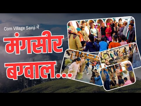 Corn Village Sainji में धूमधाम से मनाई गई Mangsir Bagwal | मंगसीर बग्वाल  | Exclusive NIU