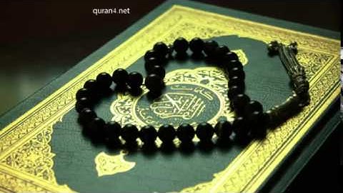 سورة نوح القارئ ماهر المعيقلي-71