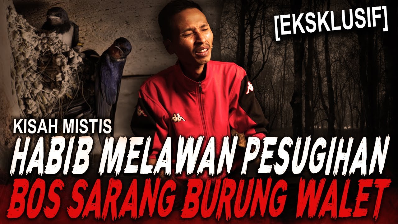 HABIB SAMPE TURUN TANGAN BUAT NYEMBUHIN K0RB4N2 TUMBAL !! PESUGIHAN KAWIN ULAR BOS SARANG WALET