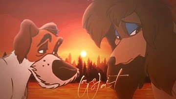 As It Was | ANIMASH MEP