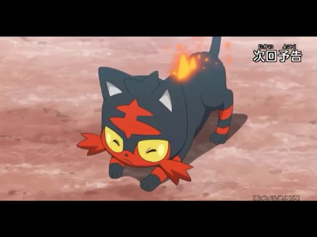 Rockruff / lycanroc litten /torracat / type null for a split second 😂 amv on my own