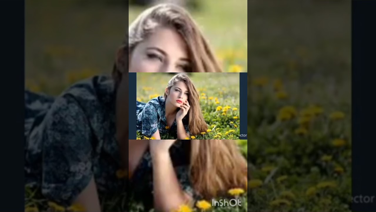 كشكول جبلي رائع بوعلام الصنهاجي 🎻🎻