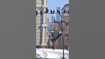 أَلَمْ يَأْتِكُمْ نَبَأُ الَّذِينَ كَفَرُوا مِن قَبْلُ |صلاح الباجي|تلاوة خاشعة