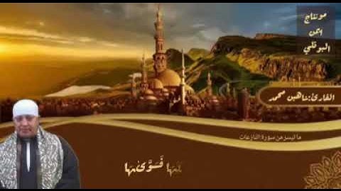 القارئ الشيخ شاهين محمد عبد الحميد