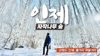 인제 자작나무숲 대중교통 당일치기 - 강원도 인제 볼거리 먹을거리 - 막국수, 돼지갈비 screenshot 5