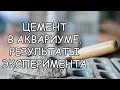 ЦЕМЕНТ В АКВАРИУМЕ. РЕЗУЛЬТАТЫ ЭКСПЕРИМЕНТА