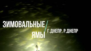 Обзор (разбор) Зимовальных ям г.р.Днепр (акватория Лесопарк) Обзор (разбор) Зимовальных ям г.р.Днепр (акватория Лесопарк)