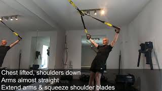 TRX Reverse T+Y Fly