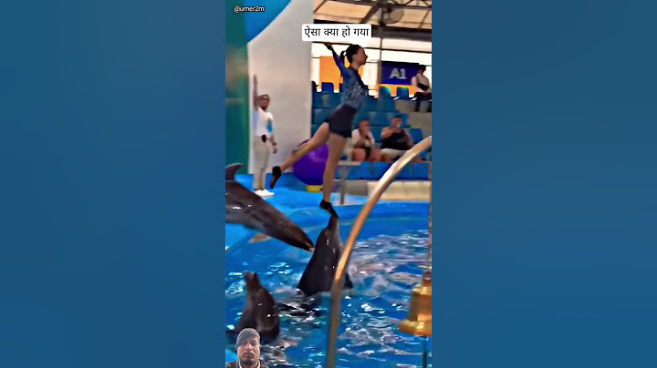 Jab Dolphin trick Me Hui Gadbad ( _@umer2m) #dolphin #swimming  #shorts #comedy #funny