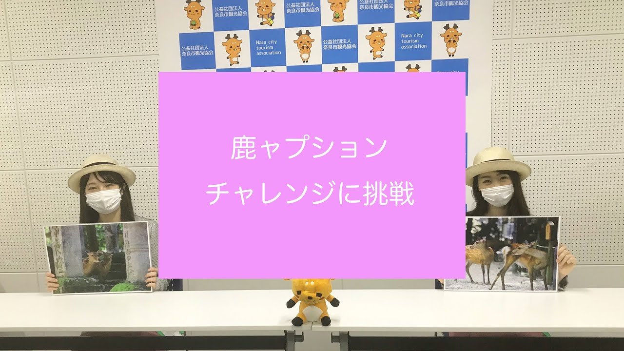 おうちで奈良旅気分 ゆるたび 奈良 キャンペーン 21 奈良市観光協会サイト