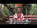 Benki Piyanko on the 3rd Annual Ayahuasca Indigenous Conference